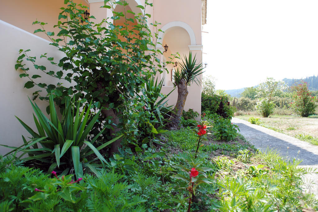 Marina Studios Sidari  Exterior photo
